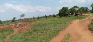 10 Titled Acres in Kikandwa Luwero
