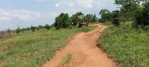 10 Titled Acres in Kikandwa Luwero