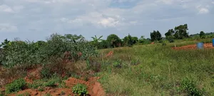 10 Titled Acres in Kikandwa Luwero