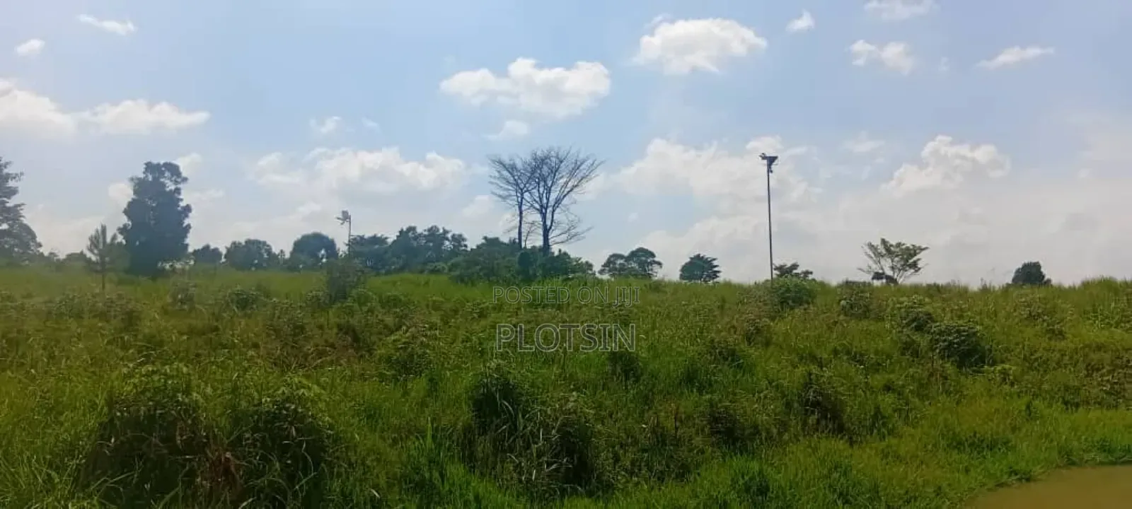 2.2 Acres of Land Freehold Titled, Bulamagi Iganga