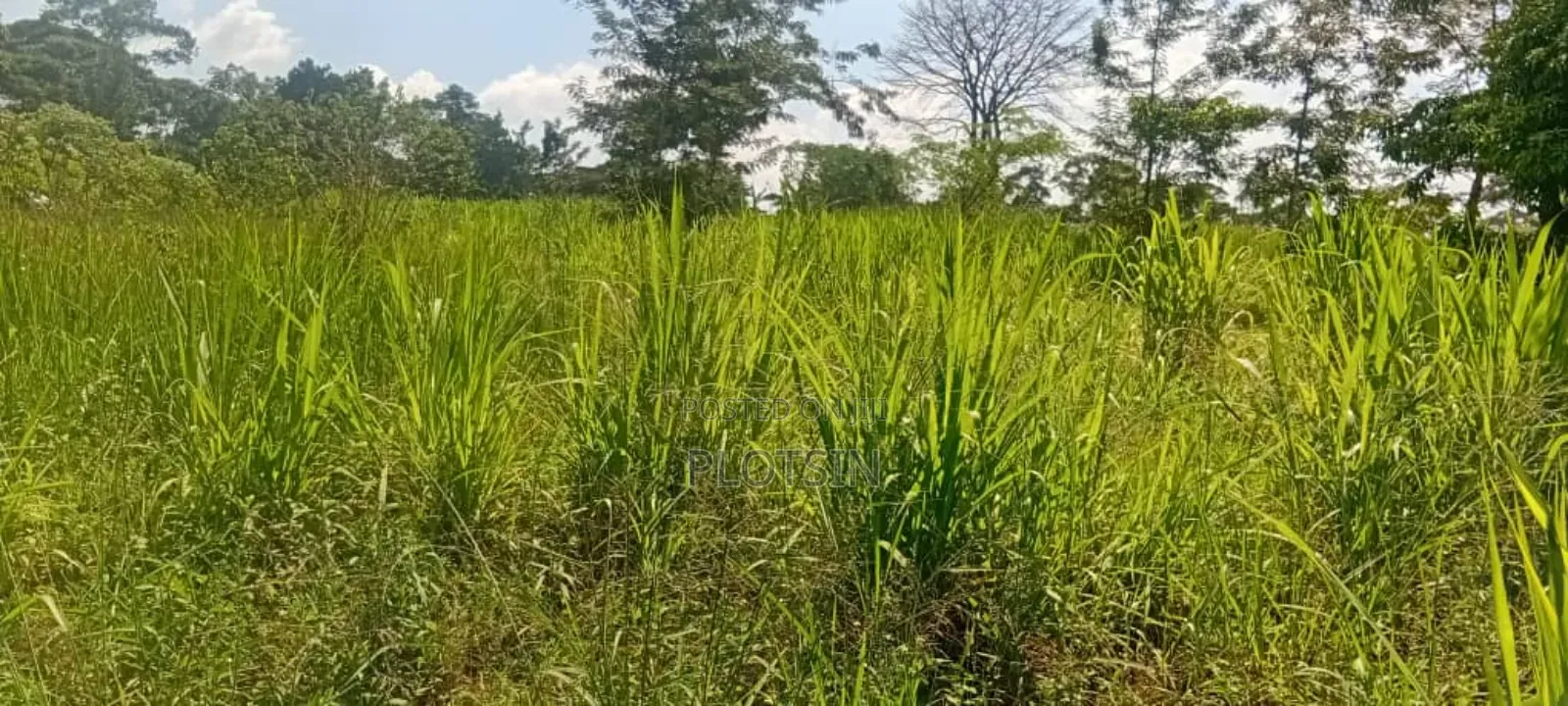 2.2 Acres of Land Freehold Titled, Bulamagi Iganga