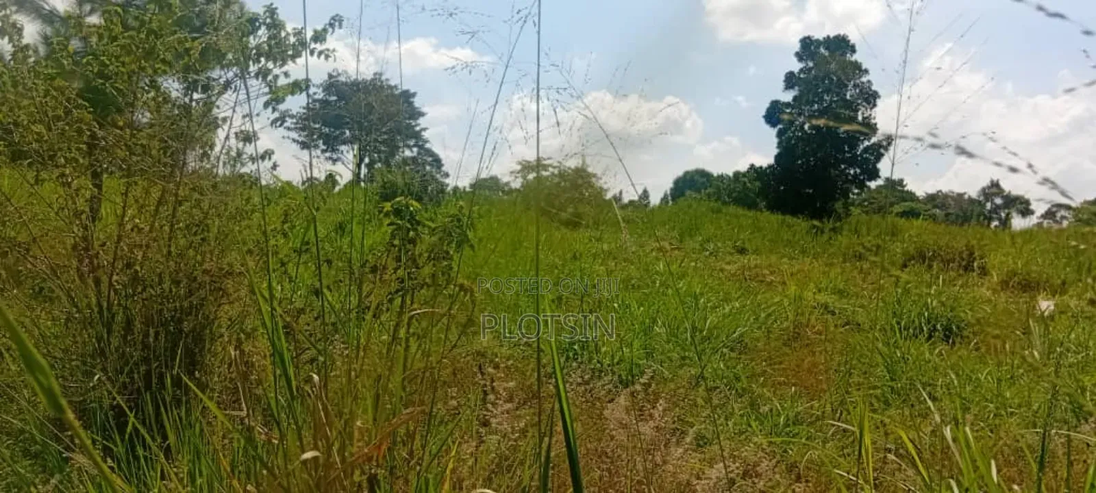 2.2 Acres of Land Freehold Titled, Bulamagi Iganga