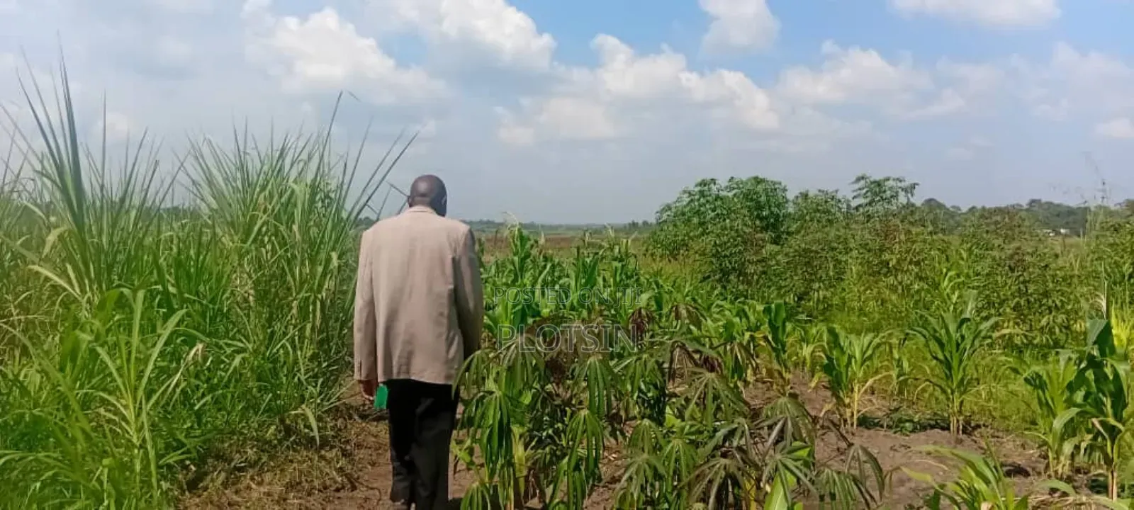 2.2 Acres of Land Freehold Titled, Bulamagi Iganga