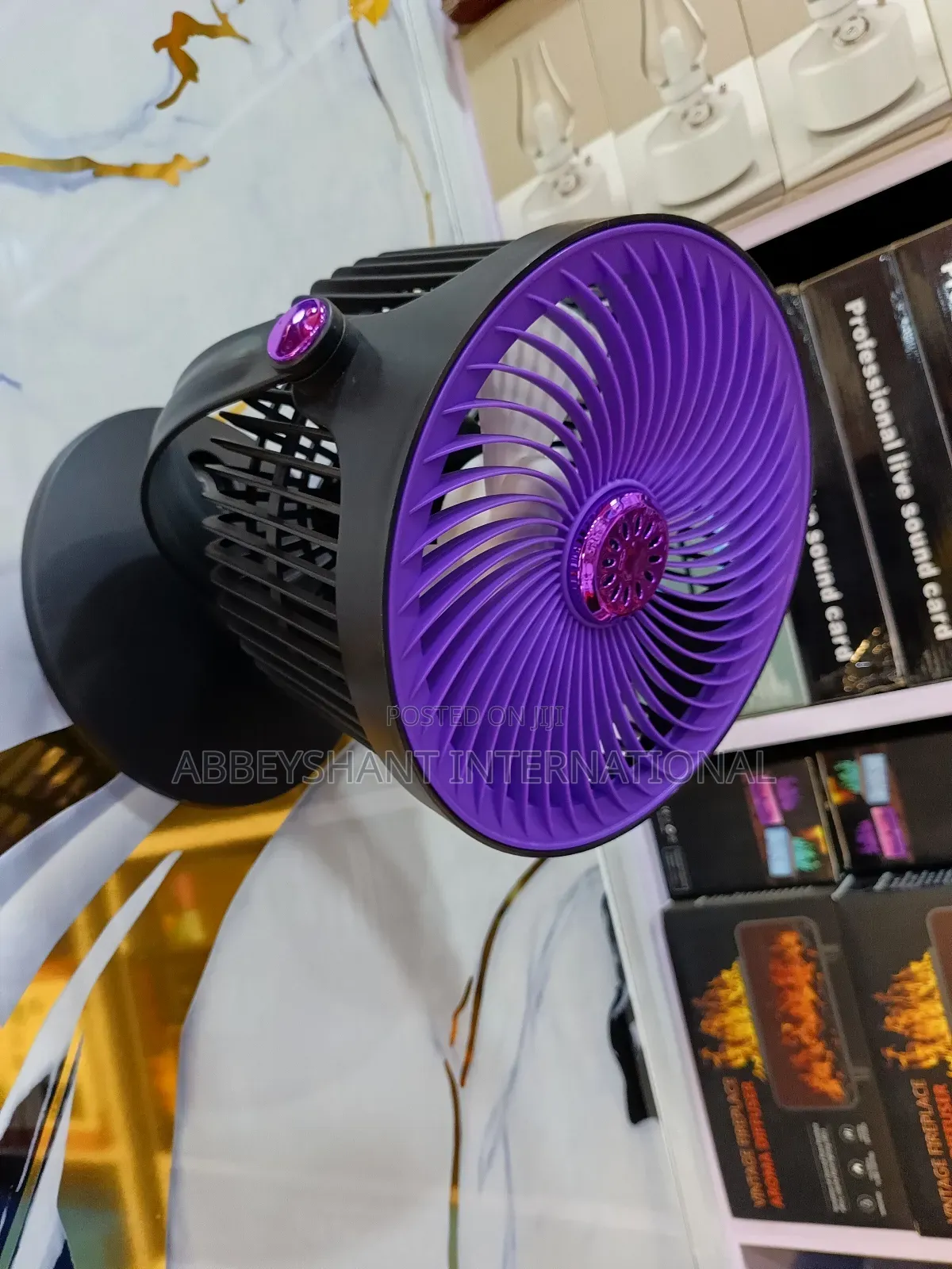 Wall-Mounted Rechargeable Fan/Wall Fan