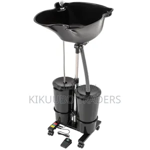 Portable Salon Shampoo Bowl With an Electric Pump and a Dual-Bucket