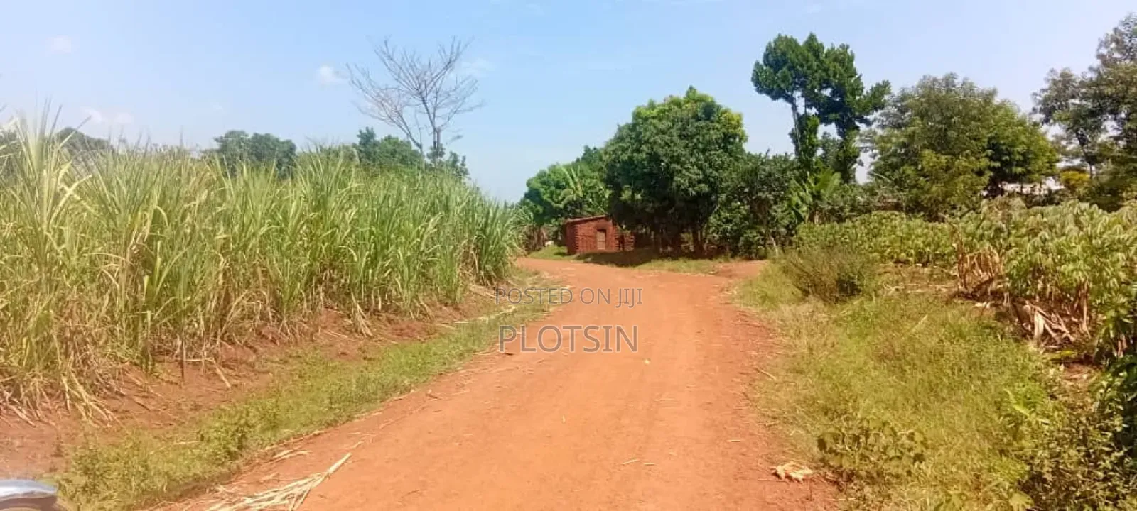 2.4 Acres for Sale in Bulamagi, Iganga – Ugx 32 Million