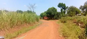 2.4 Acres for Sale in Bulamagi, Iganga – Ugx 32 Million