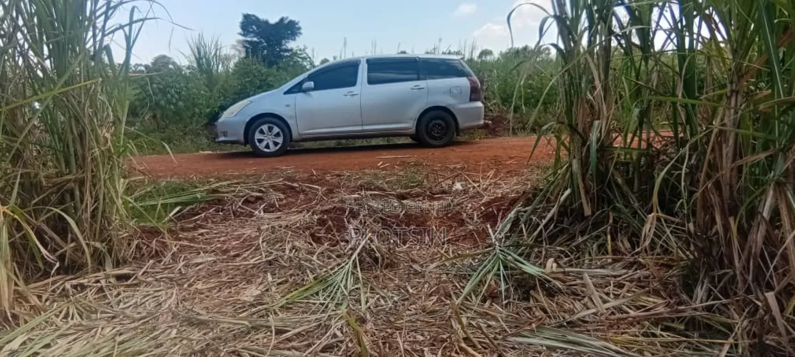 2.4 Acres for Sale in Bulamagi, Iganga – Ugx 32 Million