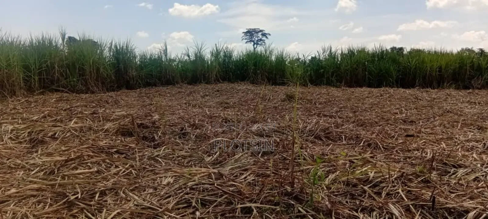 2.4 Acres for Sale in Bulamagi, Iganga – Ugx 32 Million