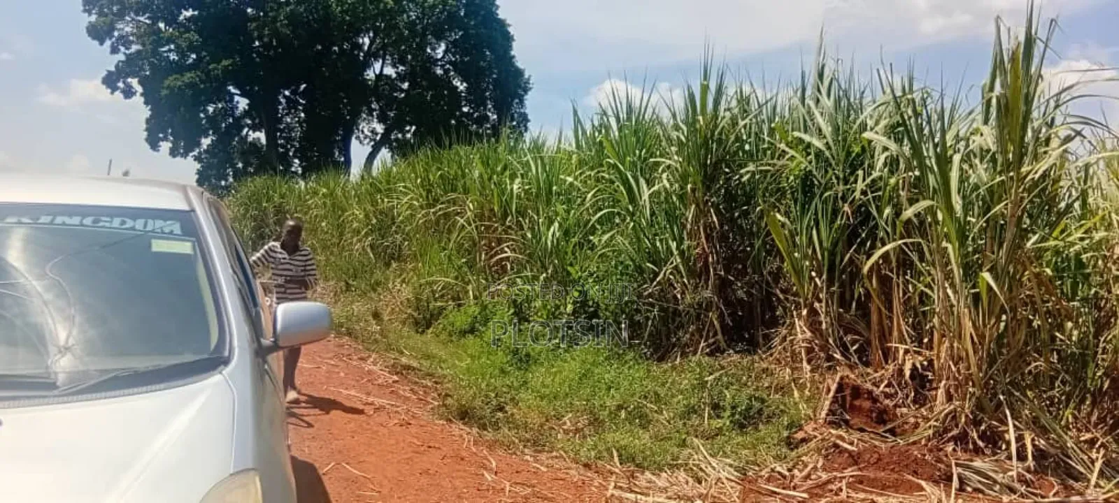 2.4 Acres for Sale in Bulamagi, Iganga – Ugx 32 Million