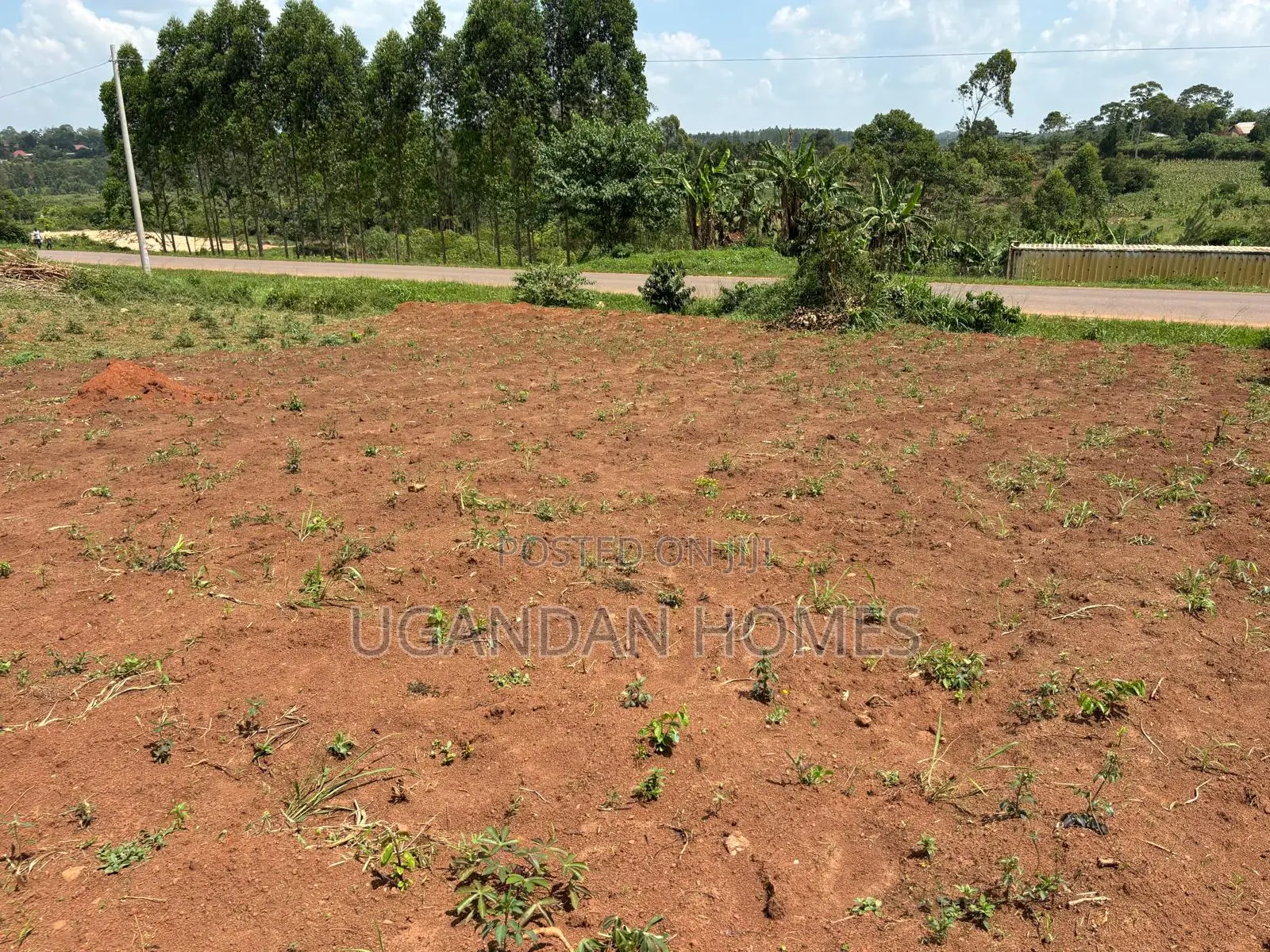 Half Acre of Land in Dundu