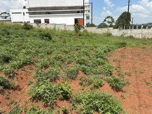 Half Acre of Land in Dundu