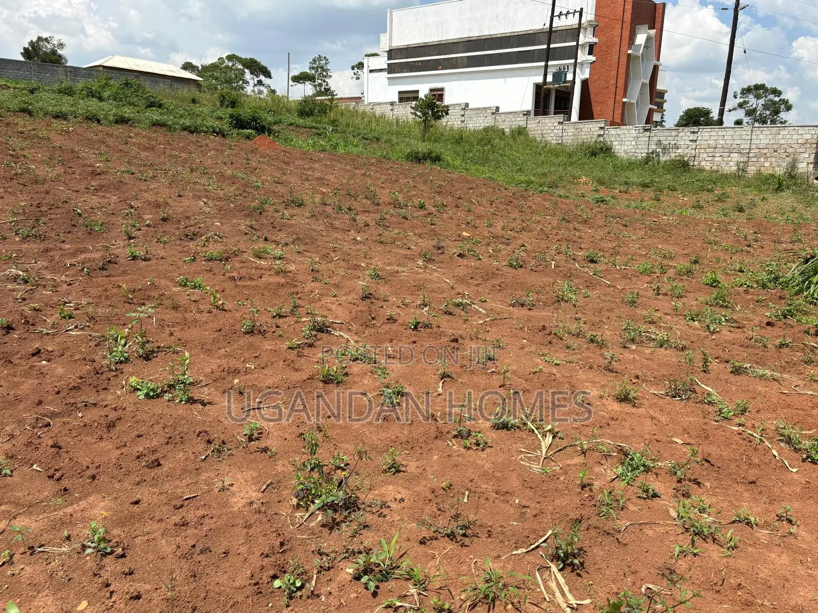 Half Acre of Land in Dundu