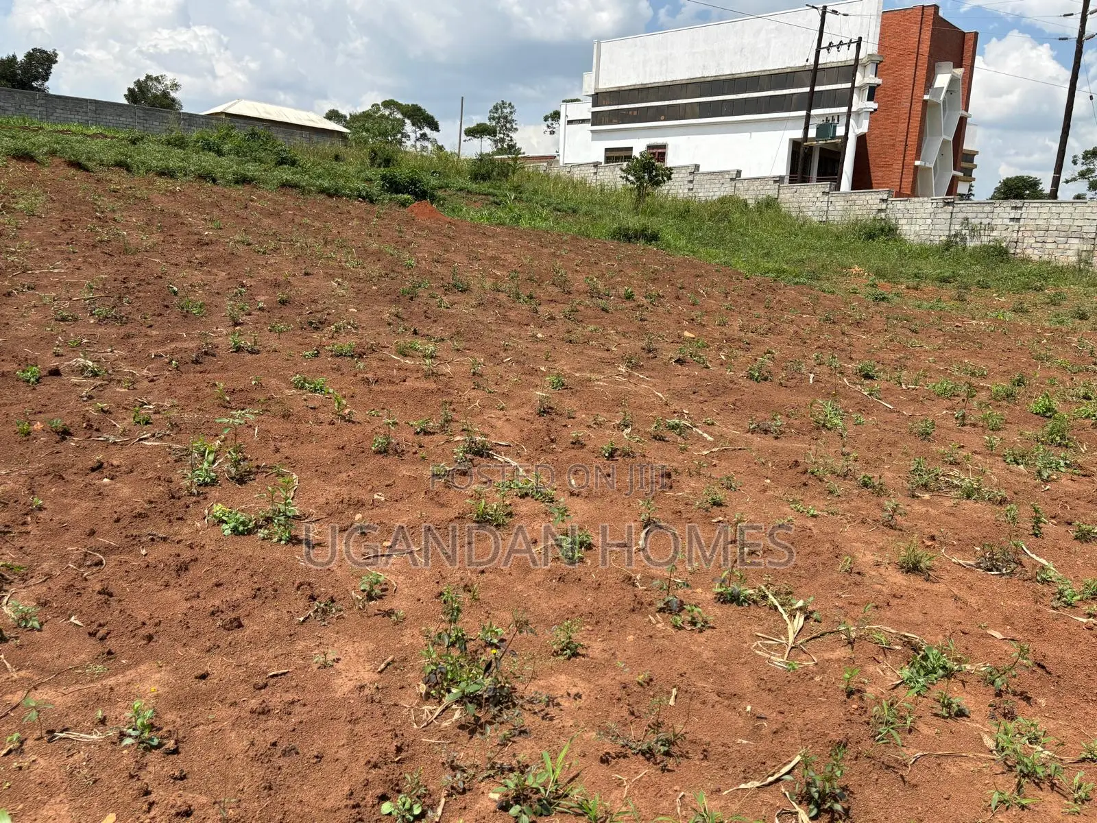 Half Acre of Land in Dundu