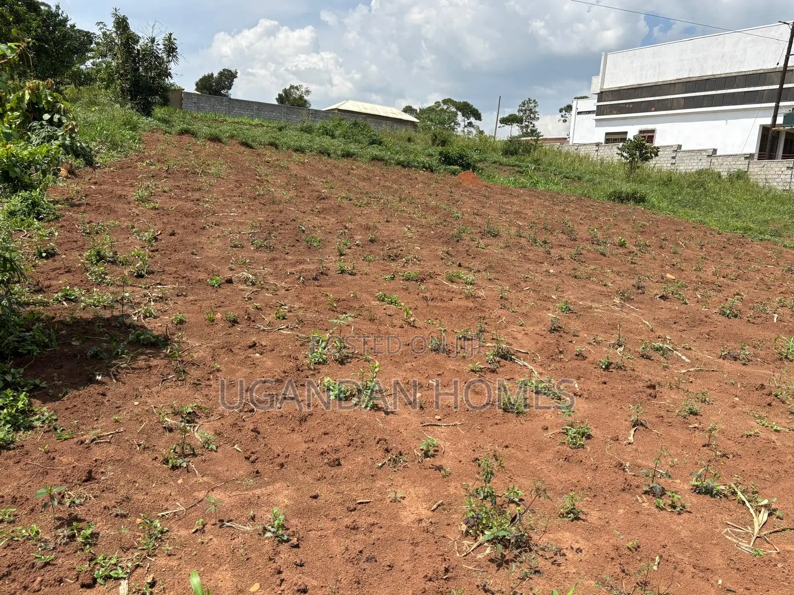 Half Acre of Land in Dundu