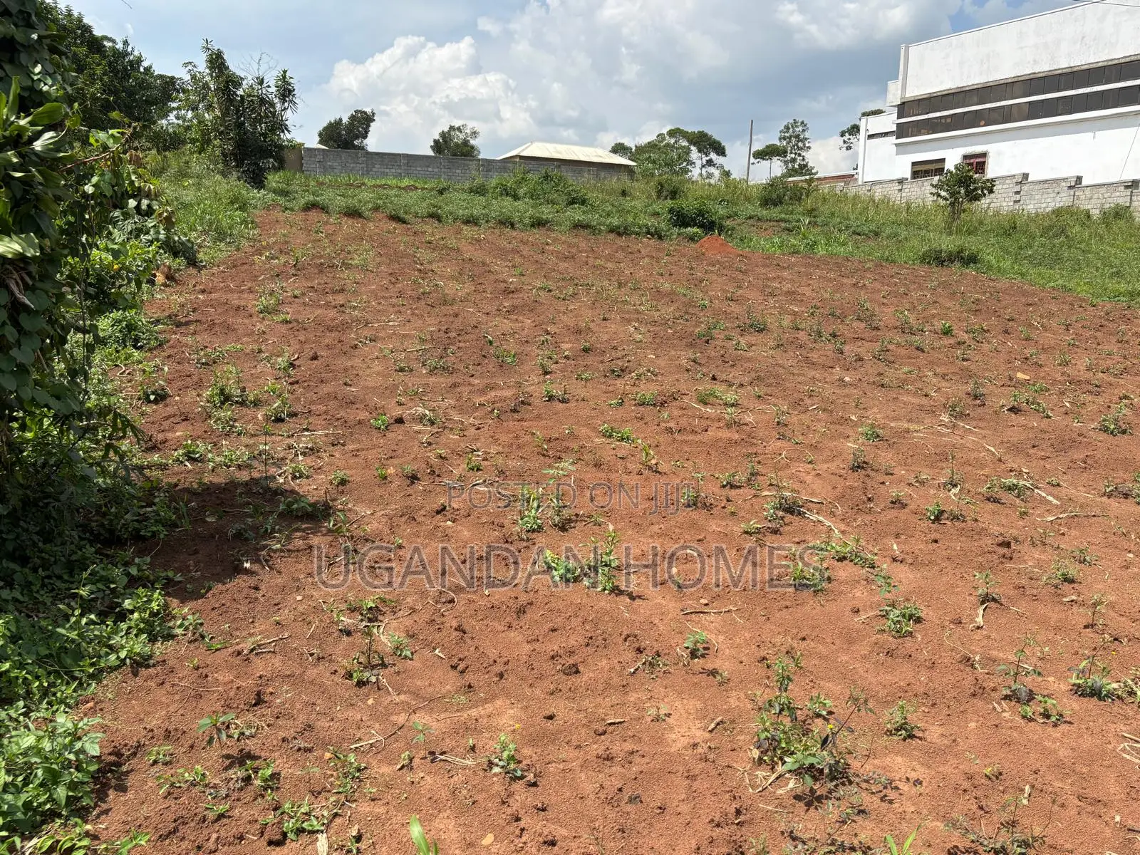Half Acre of Land in Dundu