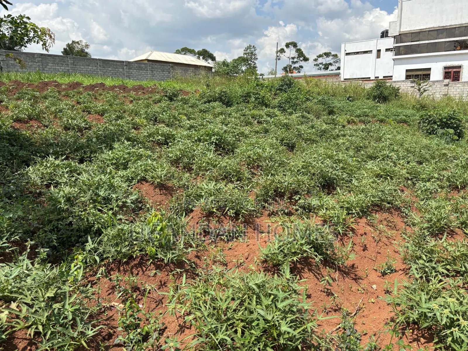 Half Acre of Land in Dundu