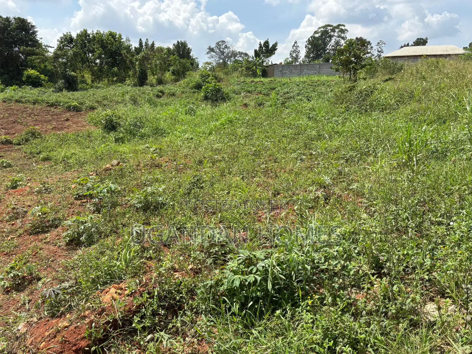 Half Acre of Land in Dundu