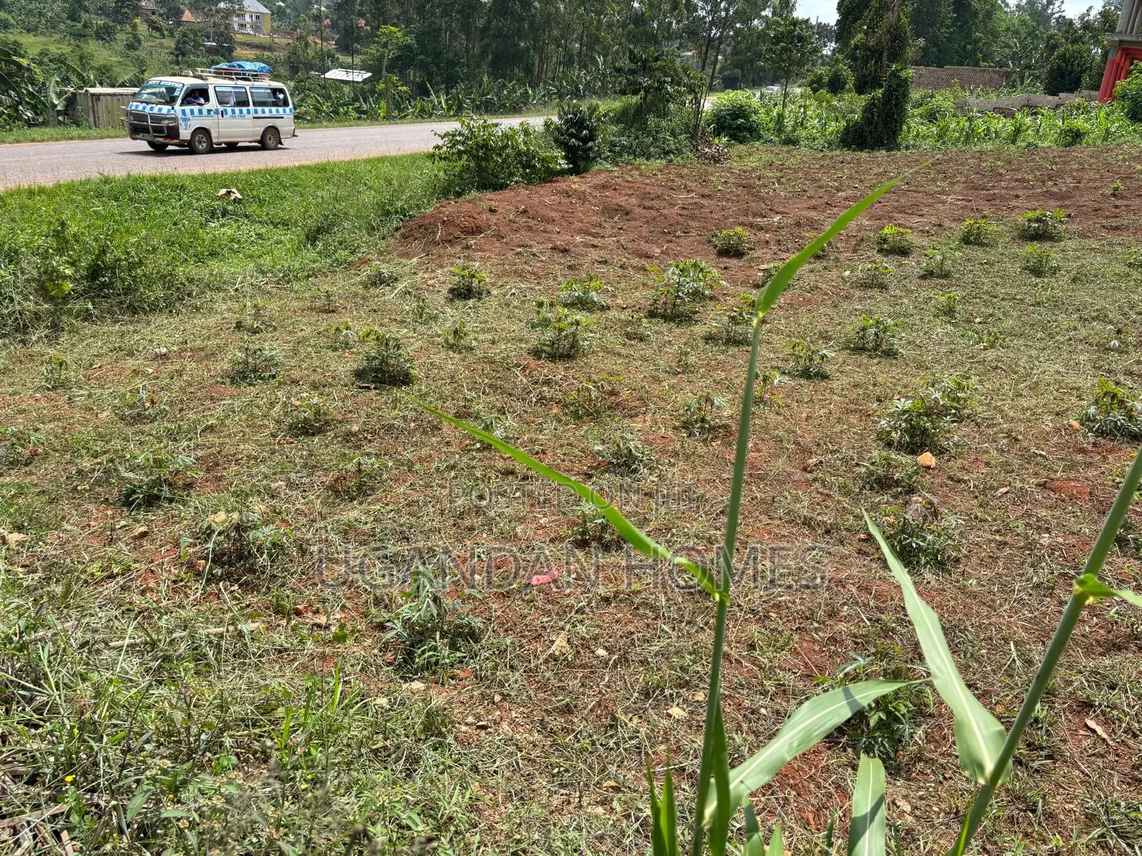 Half Acre of Land in Dundu