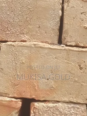 Clay Bricks