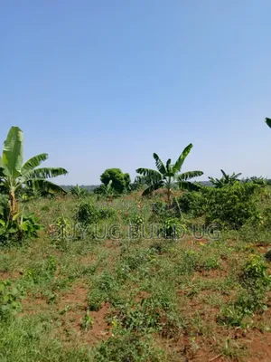Good Deal 10 Acres for Sale Luwero Kamira, 10m Per Acre