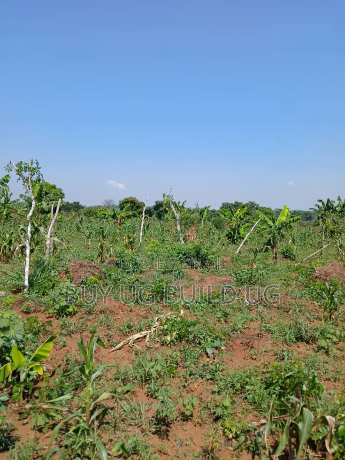 Good Deal 10 Acres for Sale Luwero Kamira, 10m Per Acre