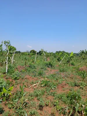 Good Deal 10 Acres for Sale Luwero Kamira, 10m Per Acre