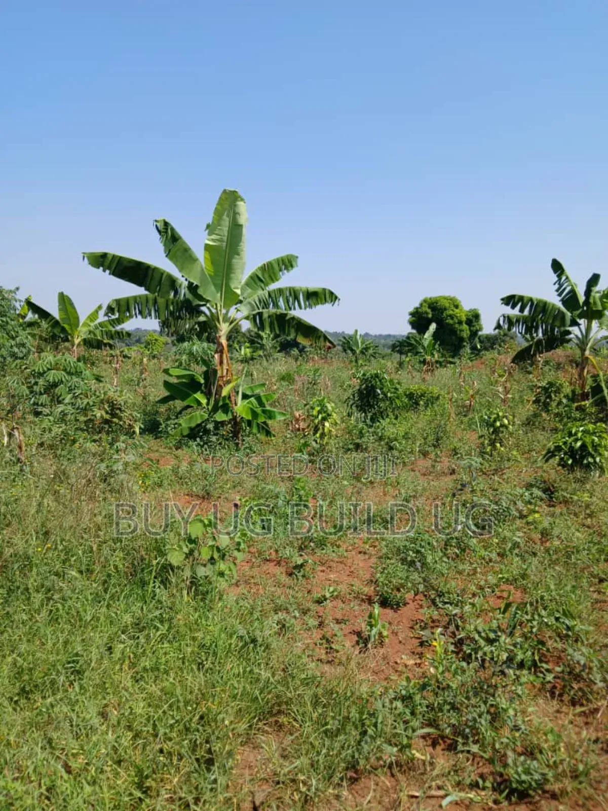 Good Deal 10 Acres for Sale Luwero Kamira, 10m Per Acre