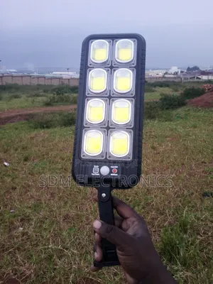 Solar Motion Sensor Light