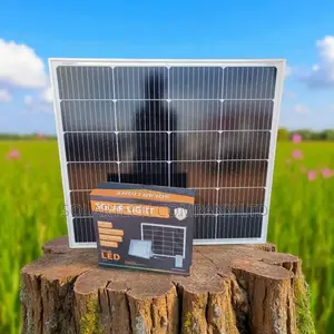 Wawa 500w Blue Carbon Solar Flood Light – High Power Lighting