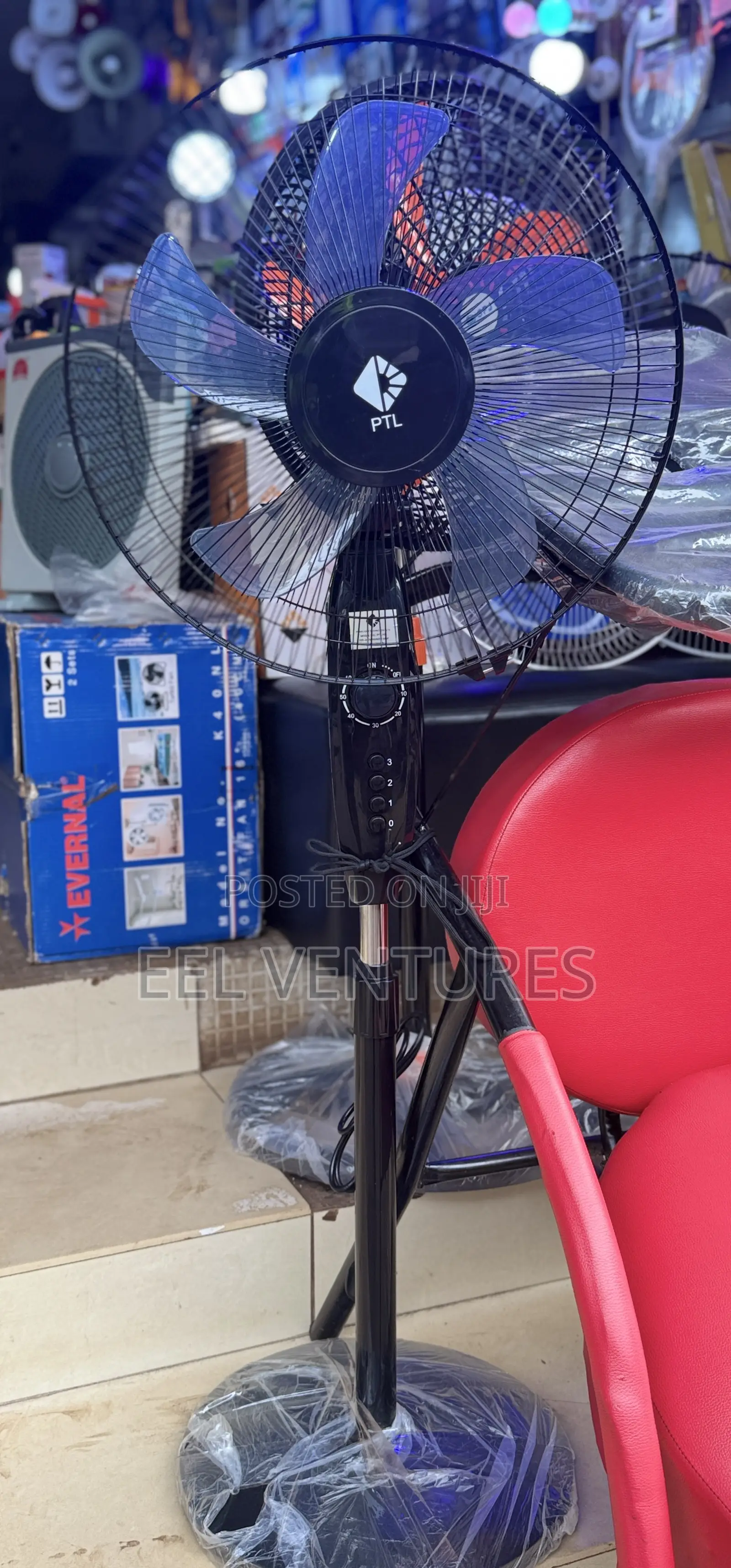 Electrical Fun in Central Division - Home Appliances, Eel Ventures ...