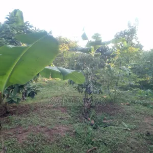 50 Acres for Sale Located at Kayunga Kitwe