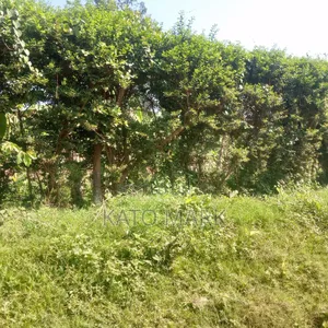 1 Acre of Land for Sale Located at Mukono Kisowera
