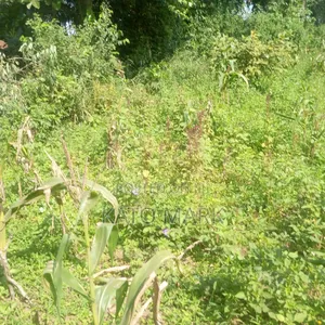 2 Acres for Sale Located at Mukono Kisoga