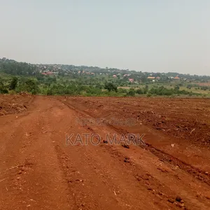 Prime Plots for Sale Located at Mukono Nsabwe