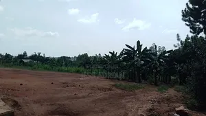 Land One Arce On Sell