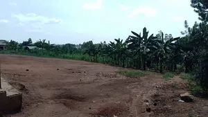 Land One Arce On Sell