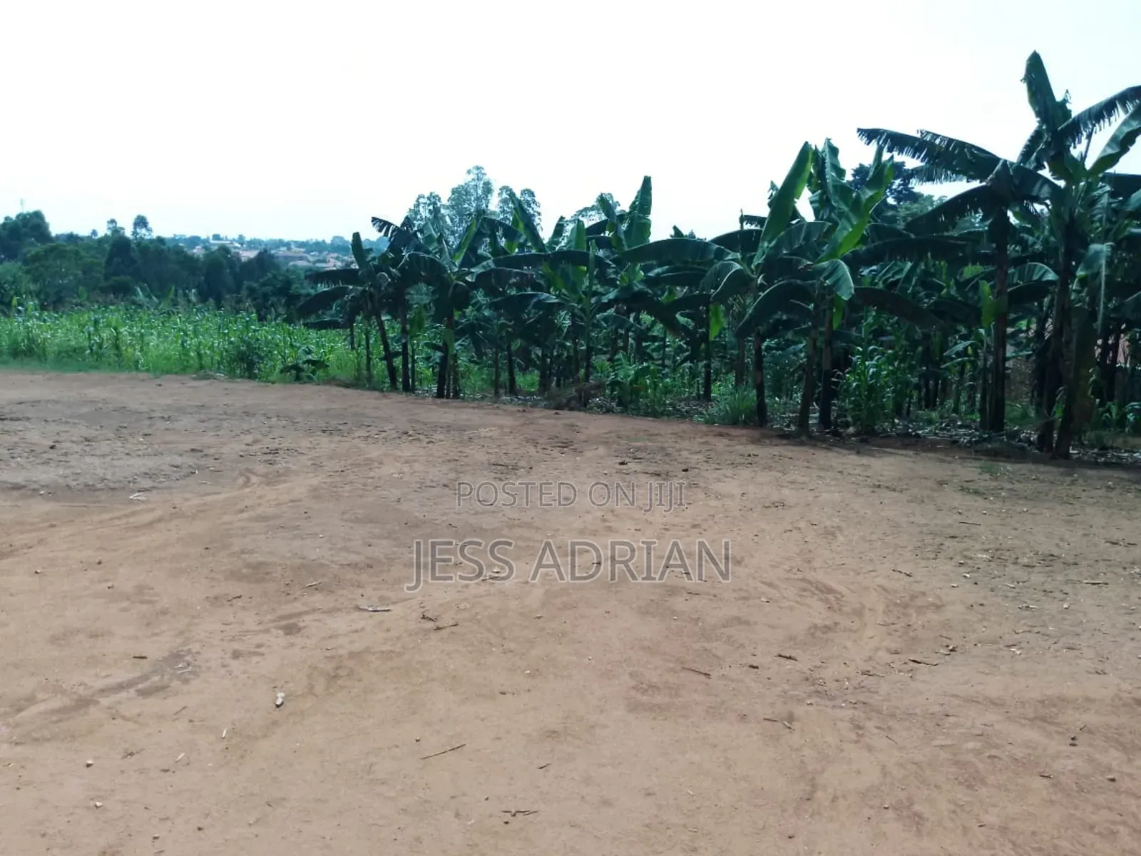 Land One Arce On Sell