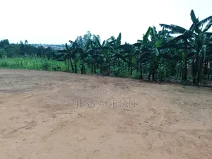 Land One Arce On Sell