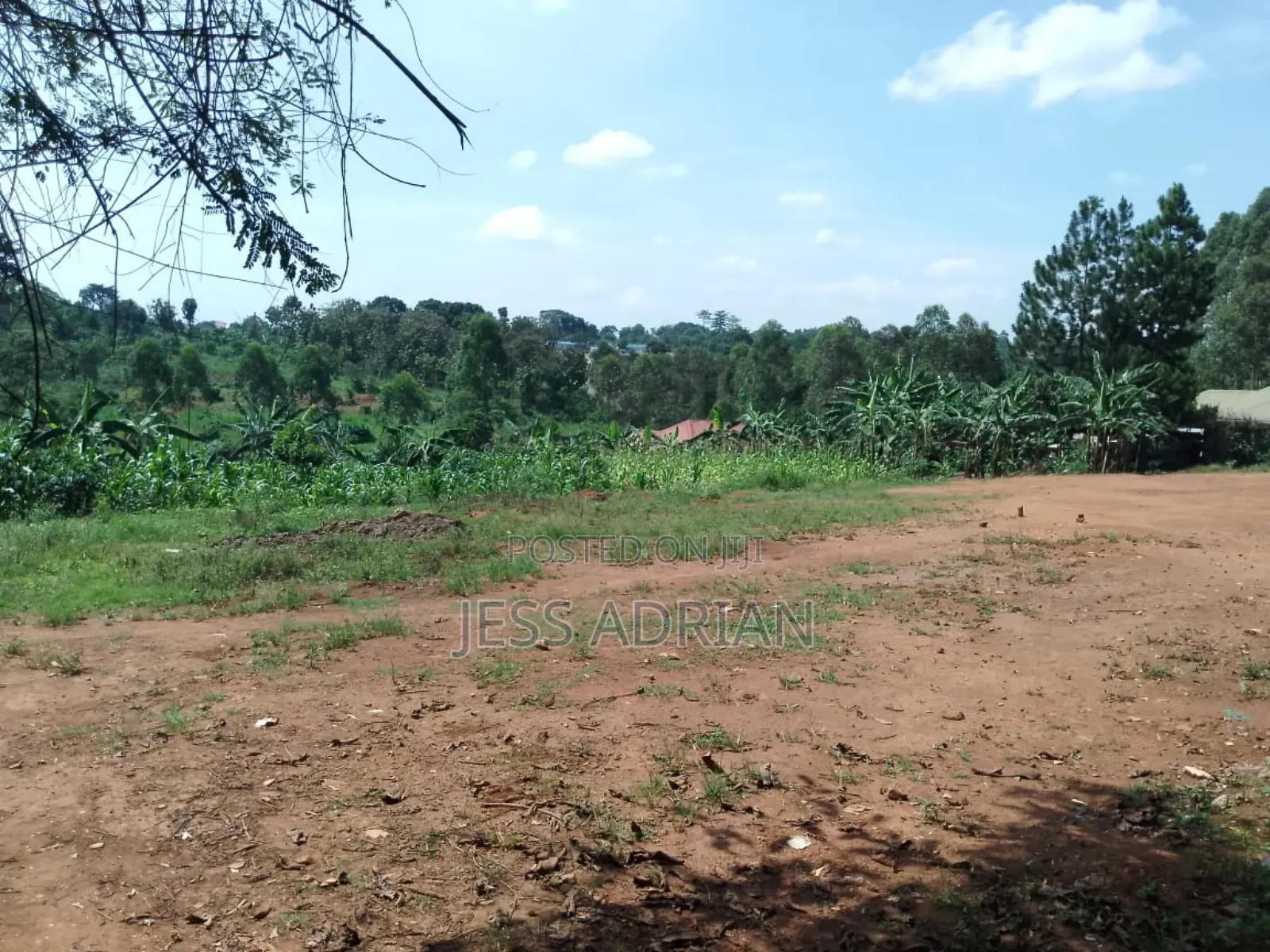 Land One Arce On Sell