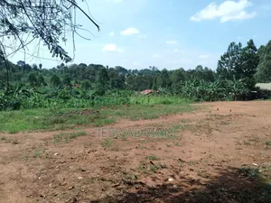 Land One Arce On Sell