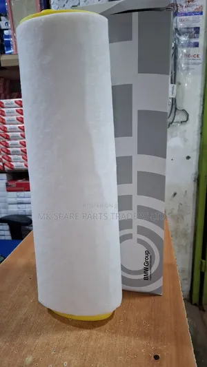 BMW Air Filters