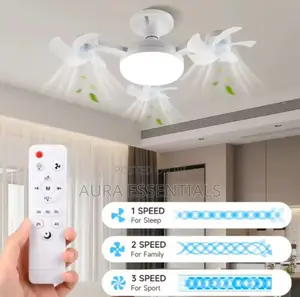F3 Fan Light Ceiling Light With an Integrated Fan