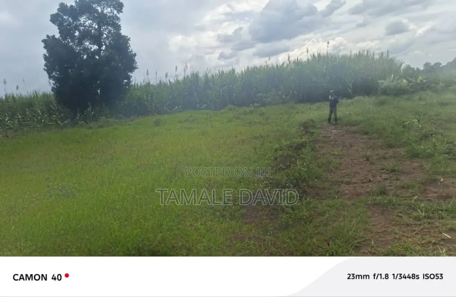 Land for Settlement