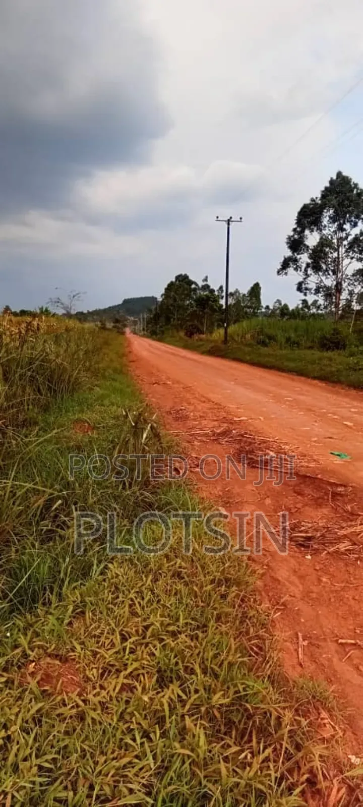 7 Acres Of Prime Land For Sale At 27m Per Acre–Muguluka Trading Centre