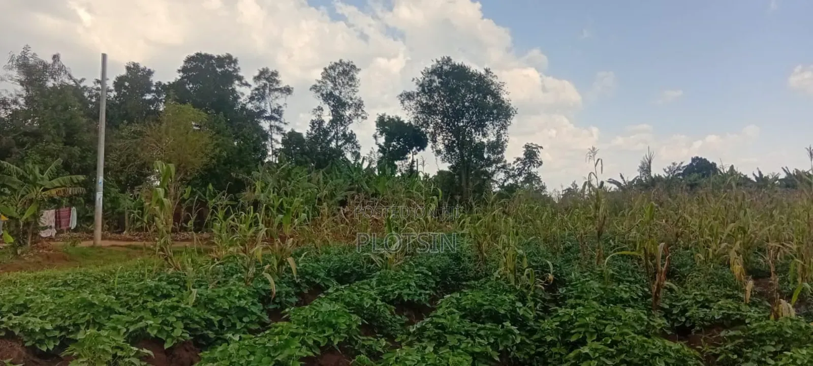 5 Acres Of Land – Balawoli Trading Centre, Kamuli District
