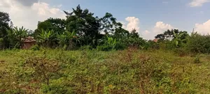 5 Acres Of Land – Balawoli Trading Centre, Kamuli District