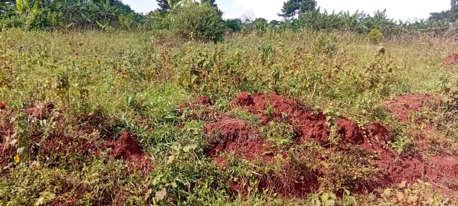 5 Acres Of Land – Balawoli Trading Centre, Kamuli District