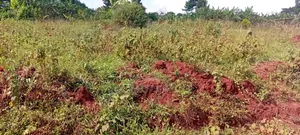 5 Acres Of Land – Balawoli Trading Centre, Kamuli District
