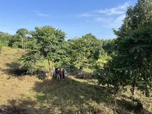 Land in Mukono